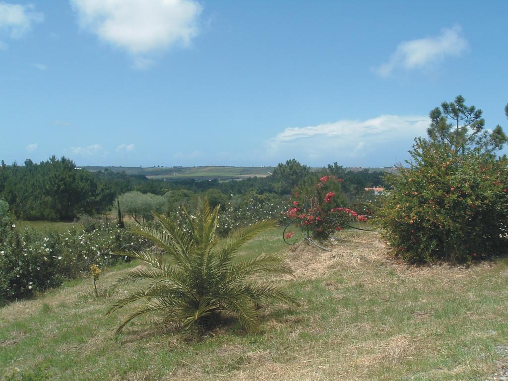 Monte Da Xara Villa Aljezur Exterior photo